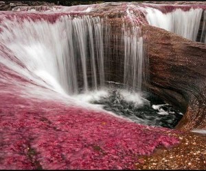 Caño cristales Fuente flikr com1